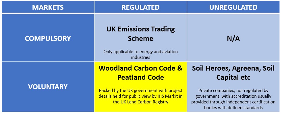 Table indicating the types of carbon markets available